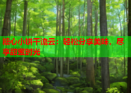 糖心小饼干流云：轻松分享美味，尽享甜蜜时光