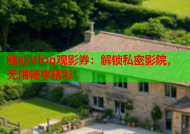 糖心Vlog观影券：解锁私密影院，无限畅享精彩