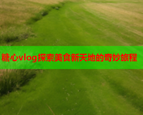 糖心vlog探索美食新天地的奇妙旅程  第1张