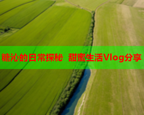 糖沁的日常探秘 甜蜜生活Vlog分享  第1张