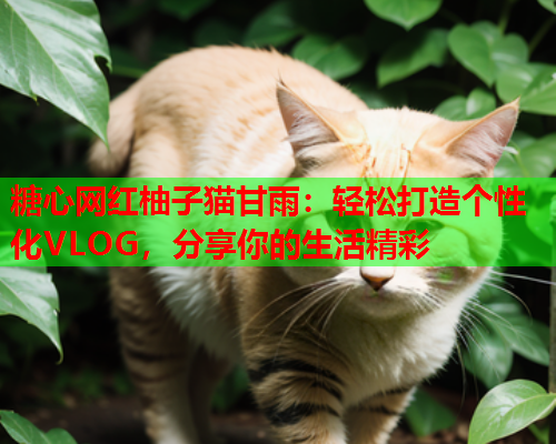 糖心网红柚子猫甘雨：轻松打造个性化VLOG，分享你的生活精彩  第1张