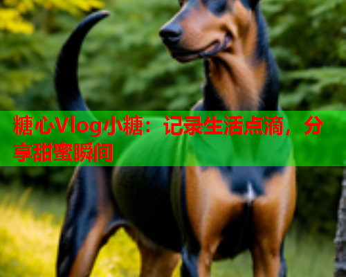 糖心Vlog小糖：记录生活点滴，分享甜蜜瞬间  第1张