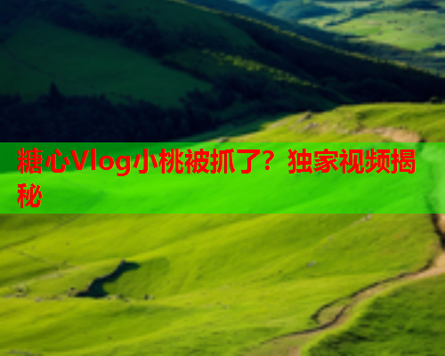 糖心Vlog小桃被抓了？独家视频揭秘  第1张